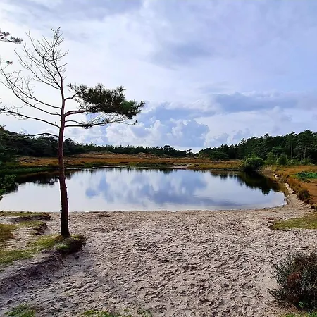 5 Star In Romo Kongsmark