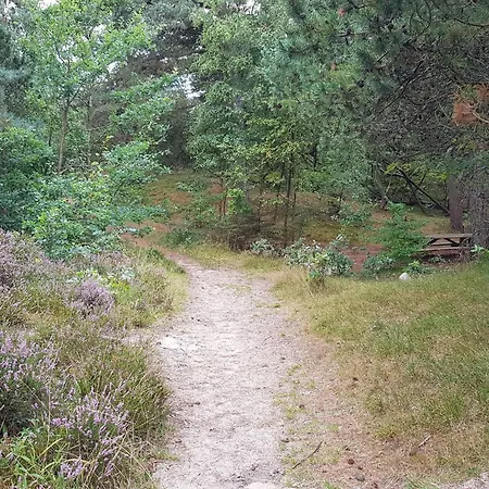 Дом отдыха 5 Star In Romo *