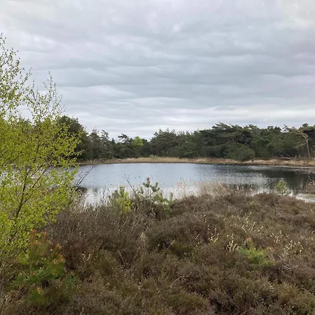 5 Star In Romo Kongsmark