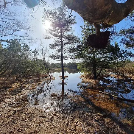 5 Star In Romo Casa vacanze