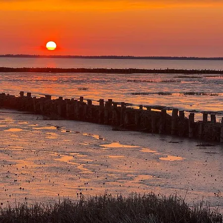 5 Star In Romo Дом отдыха Kongsmark