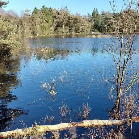 5 Star In Romo Дом отдыха